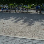 Clubkampioenschappen 2025