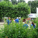 Kwintet toernooi 27-07-25