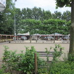 Mooie Boule 35-jarig-feest. 26-06-2021