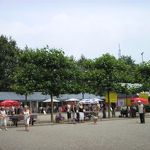 Oude Doos Open Dag 2009